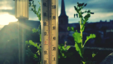 Close up picture of thermometer in a sunny garden