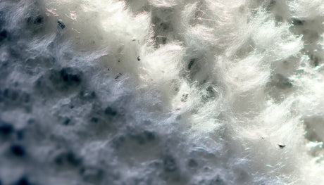 Swirling mass of gray and white mold on mineral wool insulation in a damp environment